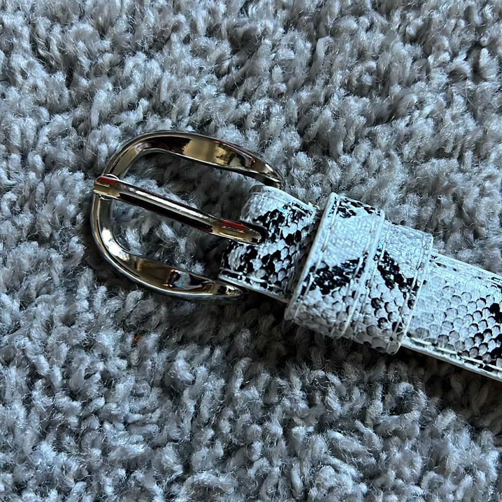 Snake skin belt